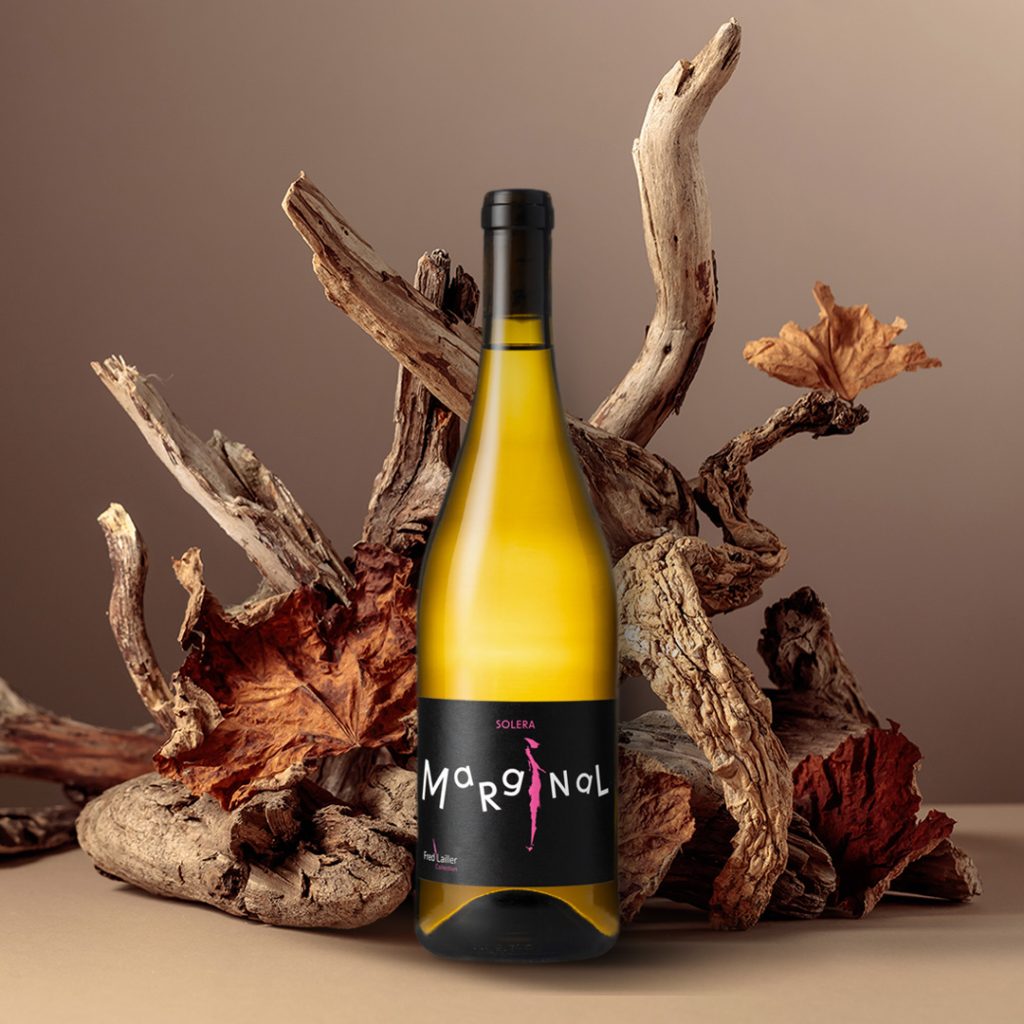 bouteile marginal du Domaine brégon devant une vieille branche de vigne